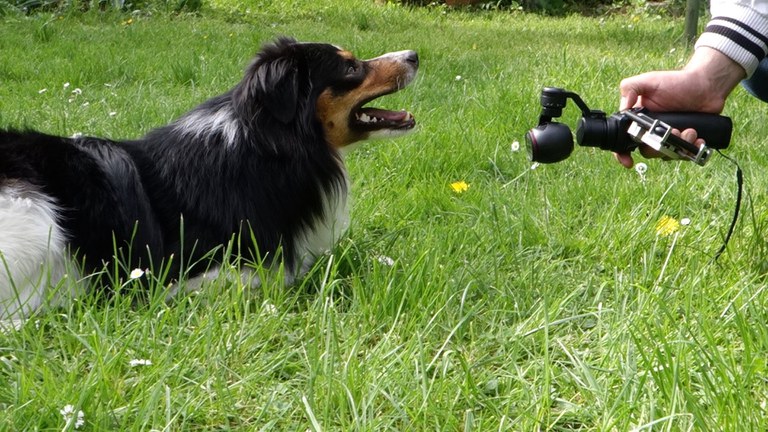 Neues Projekt 03.jpg